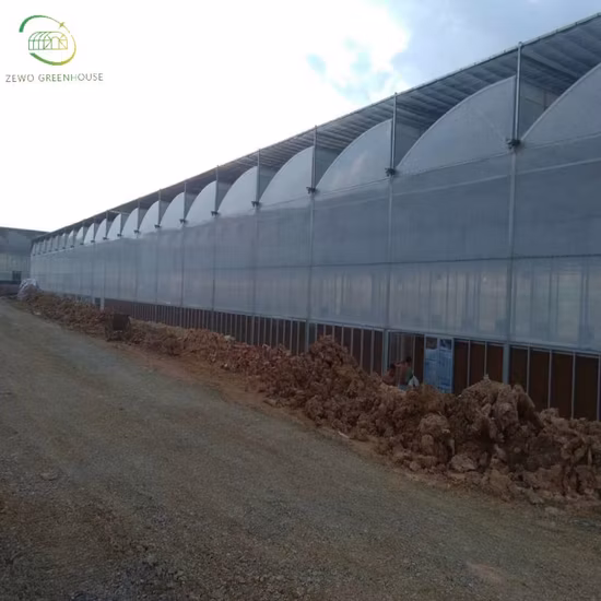 575W 高効率ティア 1 トプコン ハーフセル 16bb 単結晶 PV ソーラー モジュール パネル (182mm セル付き)