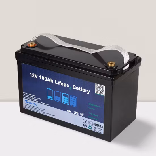 グリーンマリンリチウム/LiFePO4 ディープサイクル蓄電池 12V 100ah マリンハウス S/キャラバン/キャンピングカー/電気トローリングモーター用大容量バックアップバッテリー